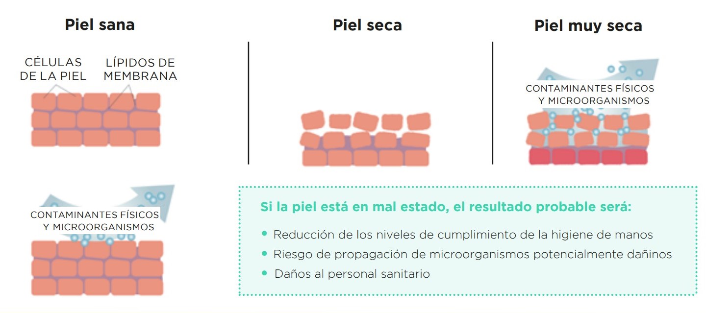 ¿Por qué es importante mantener la piel en buenas condiciones?